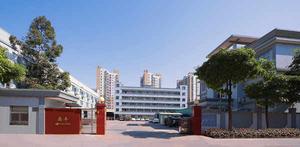Dingfeng - A modern bag manufacturing factory in 2026